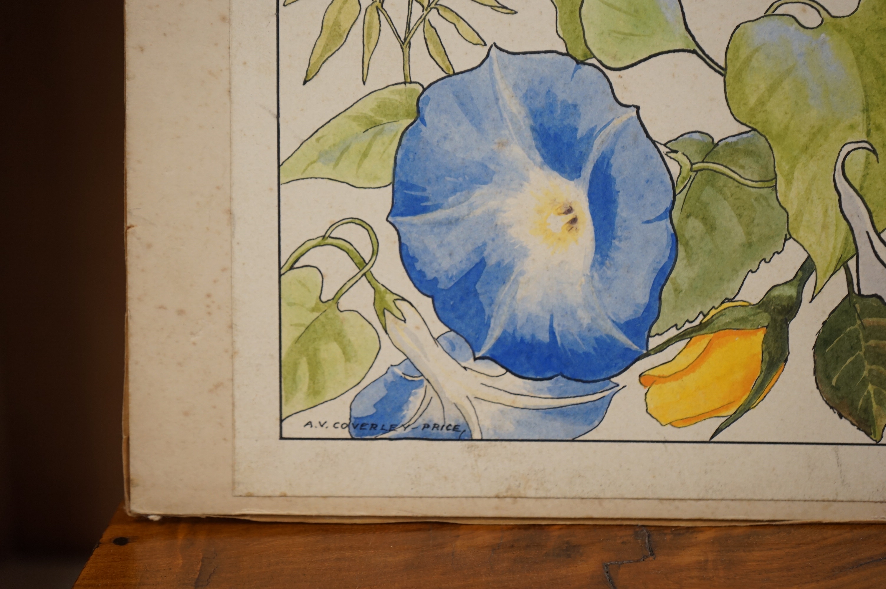 Arthur Victor Coverley-Price (1901-1988), ink and watercolour, ‘Mexican flower panel’, signed, 28 x 32cm, unframed. Condition - fair